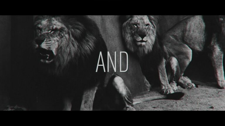 Me The Tiger – Hollow – Official Lyric Video