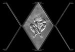 Pfingsten ~ Leipzig ~ 31. Wave-Gotik-Treffen ~ 17. bis 20. Mai 2024 ~