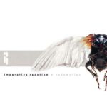 Imperative Reaction – Redemption