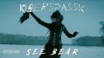 Kiberspassk – See Bear