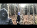 Janosch Moldau – Light For Me
