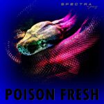 Spectra*Paris veröffentlichen neue Single „Poison Fresh“