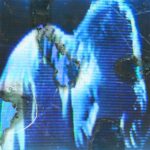 Buzz Kull: Der australische Meister der dunklen Synthesizer-Künste ist zurück