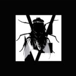 M73 – Fly On The Windscreen