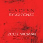 Sea Of Sin – Synchronize (Zoot Woman Remix)