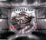 Dismantled ‎- Thanks For Everything