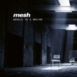 Mesh – Needel In A Bruise