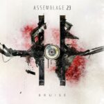 Assemblage 23 – Bruise