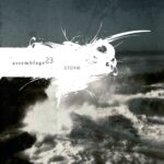 Assemblage 23 – Storm