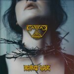 CattaC – Scared Love