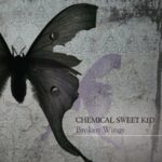 Chemical Sweet Kid – Broken Wings