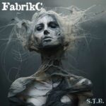 FabrikC – S.T.D.