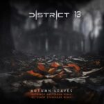 District 13 – Autumn Leaves (Rotoskop Remixes)