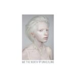 We The North – Unhealing