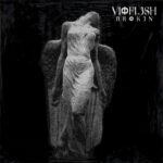 Vioflesh – Broken
