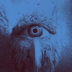 Vioflesh – Creer