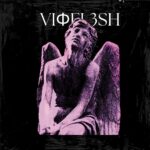 Vioflesh – Te Llevé