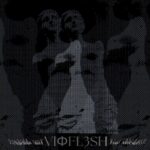 Vioflesh – Your Absence