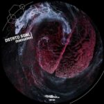 Dstrtd Sgnl – Mindwork