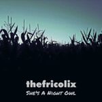 thefricolix – She’s A Night Owl