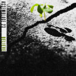 Assemblage 23 – Believe