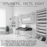 Synthetic. Facts. Eight