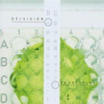 De/Vision – Devolution