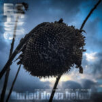 Rotoskop – Buried Down Below: Edits And Remixes