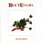 Blutengel – Black Roses
