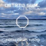 Dstrtd Sgnl – Head Over Heels (feat. Alex Braun)