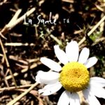 La Santé – TU