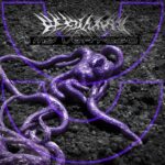 Vexillary – My Vertigo