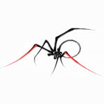 XPQ-21 – Little Spider