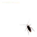 Spike Hellis – By God