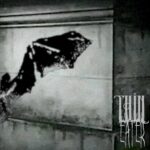 Thin Eater – Unfolding of Patagia
